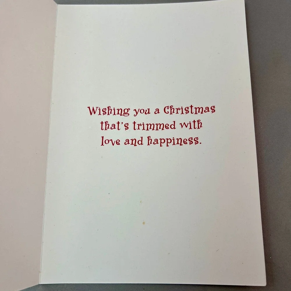 Brighten the Season Boxed Christmas Cards 16ct Blue Coastal Robin Roderick NEW